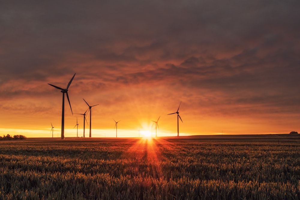 Energia rinnovabile: conviene davvero?